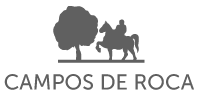 Campos de Roca